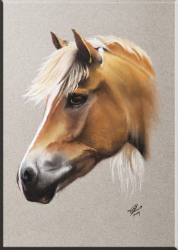 Paard by Tatjana Schneider